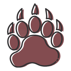 paw image