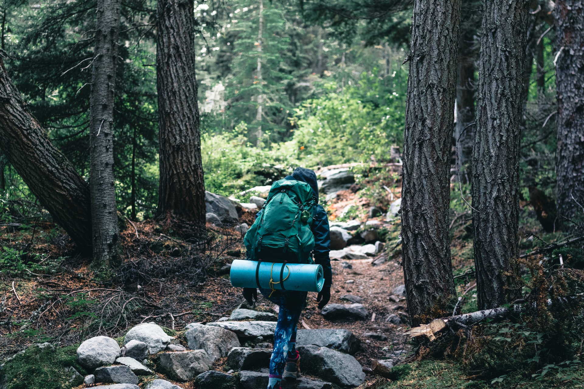 Canada's Best National and Provincial Parks for Hiking