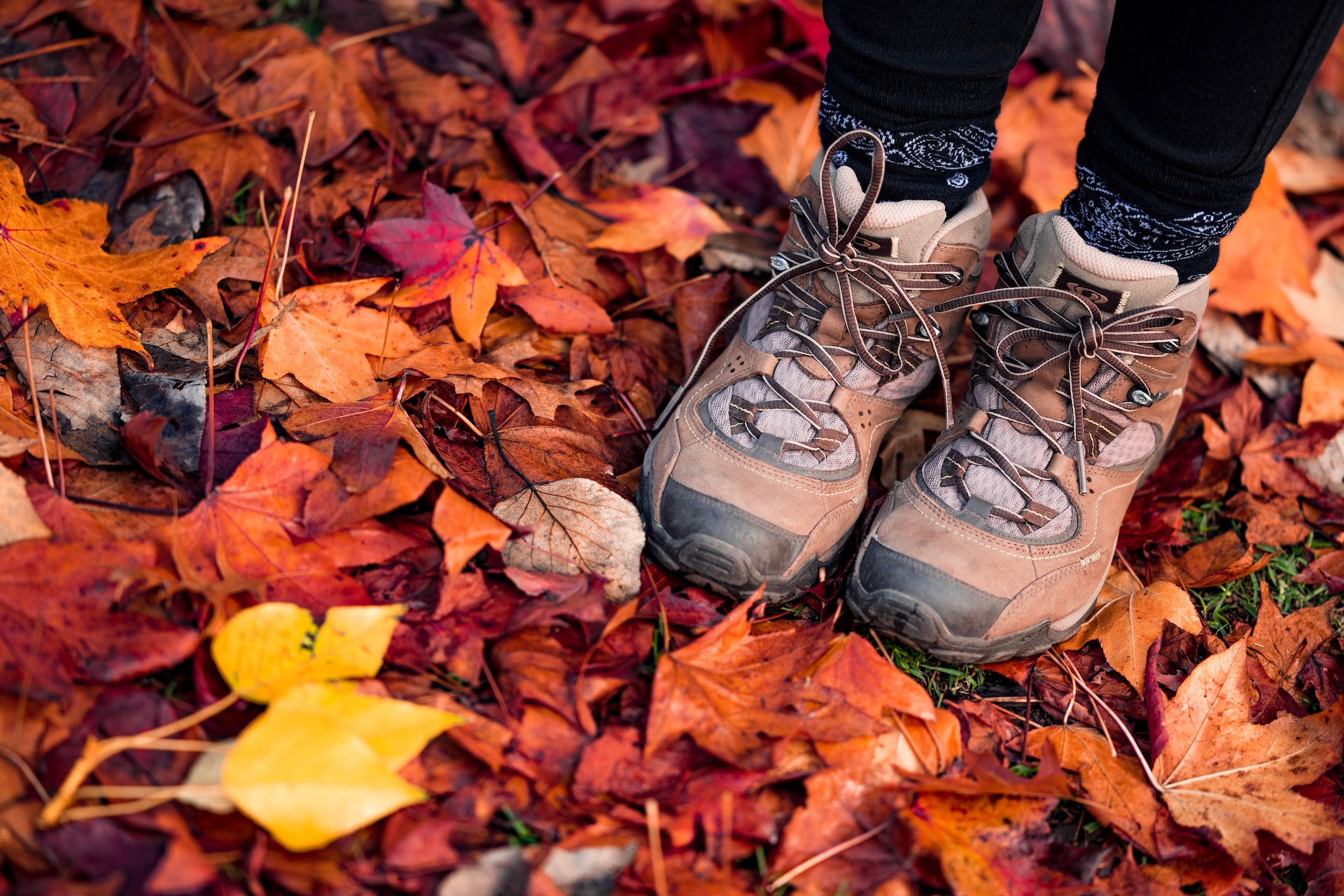 The Ultimate Guide to Women's Hiking Boots in Canada