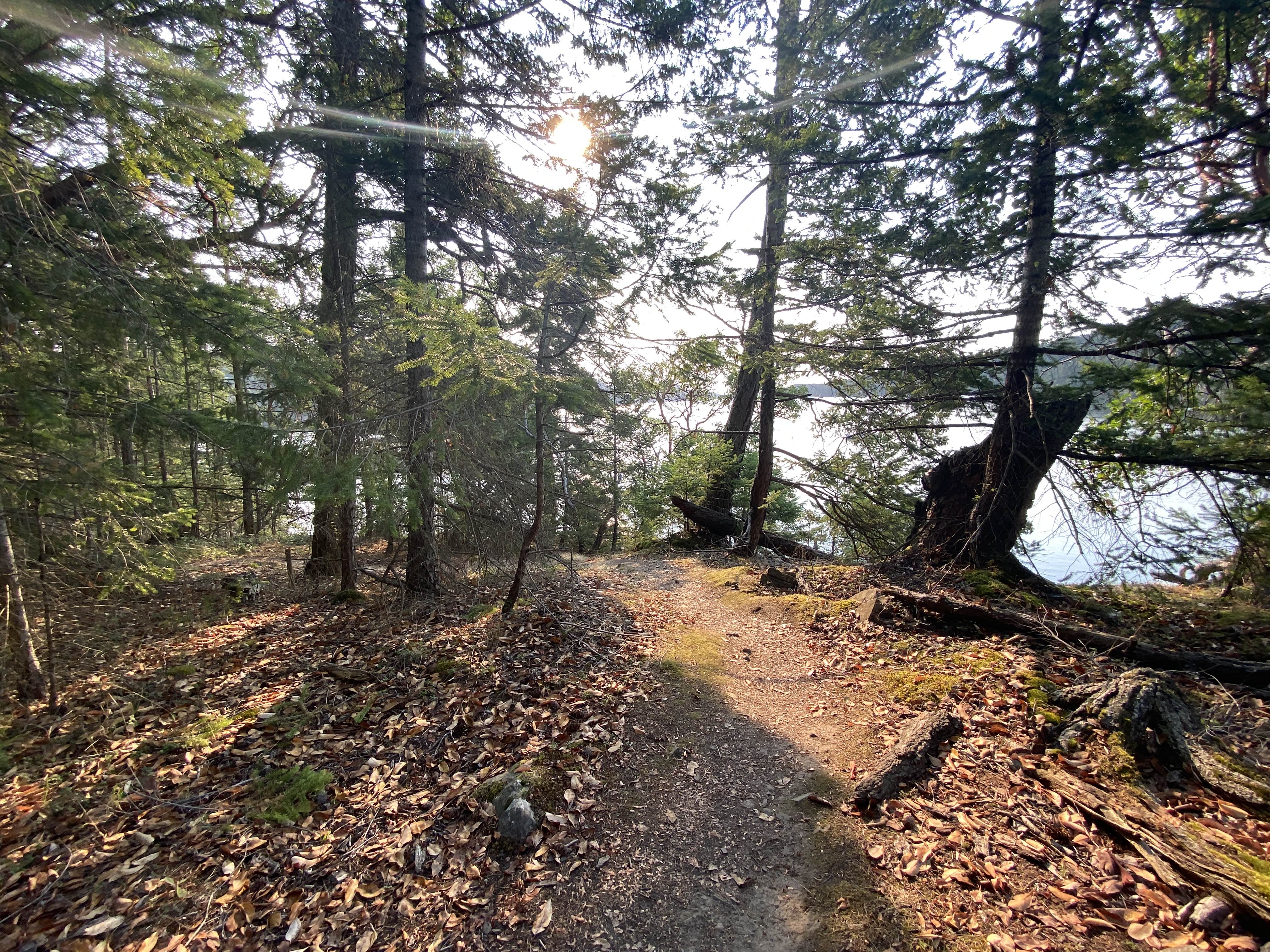Discover the Best Pender Island Hikes