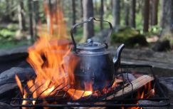 {{brizy_dc_image_alt entityId=