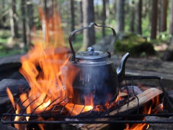 {{brizy_dc_image_alt entityId=