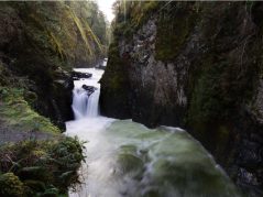 {{brizy_dc_image_alt entityId=