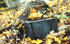 {{brizy_dc_image_alt entityId=