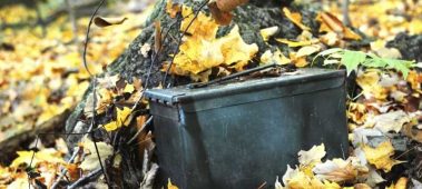 {{brizy_dc_image_alt entityId=