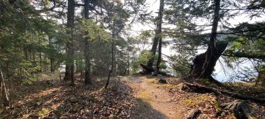 {{brizy_dc_image_alt entityId=