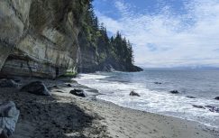 {{brizy_dc_image_alt entityId=