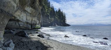 {{brizy_dc_image_alt entityId=