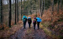 {{brizy_dc_image_alt entityId=