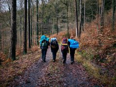 {{brizy_dc_image_alt entityId=