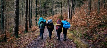 {{brizy_dc_image_alt entityId=