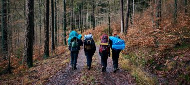 {{brizy_dc_image_alt entityId=