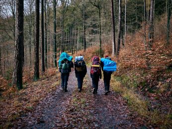 {{brizy_dc_image_alt entityId=