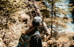 {{brizy_dc_image_alt entityId=