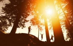 {{brizy_dc_image_alt entityId=