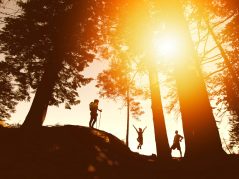 {{brizy_dc_image_alt entityId=