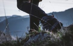 {{brizy_dc_image_alt entityId=